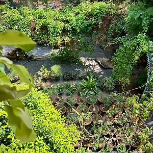  Homestay Gloria ,thrissur